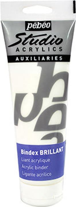 Image of Pébéo Auxiliaries Studio Acrylics Bindex Brilliant 250ml bei Do it + Garden von Migros