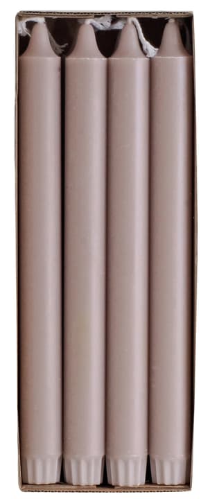 GREEN Stabkerzen GREEN Stabkerzen 440664502488 Farbe Taupe Grösse H: 24.0 cm Bild Nr. 1