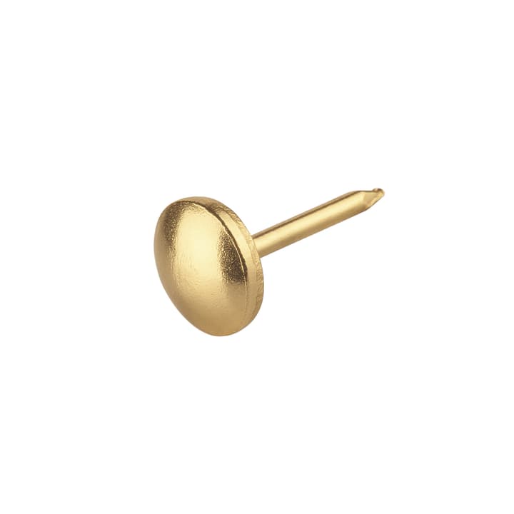 Image of suki Polsternagel 10x13mm Polsternägel