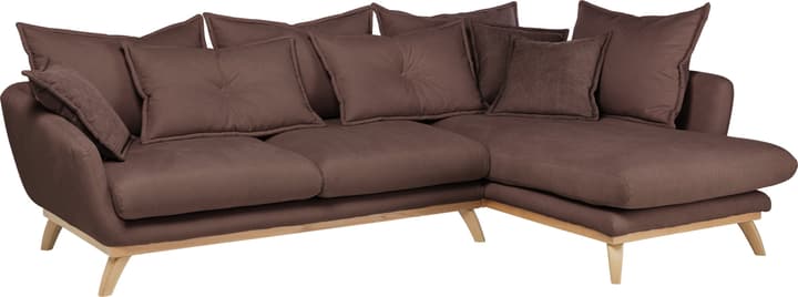 AMSEL Canapé d'angle AMSEL Canapé d'angle 405735150070 Couleur Marron Dimensions L: 275.0 cm x P: 180.0 cm x H: 67.0 cm Photo no. 1
