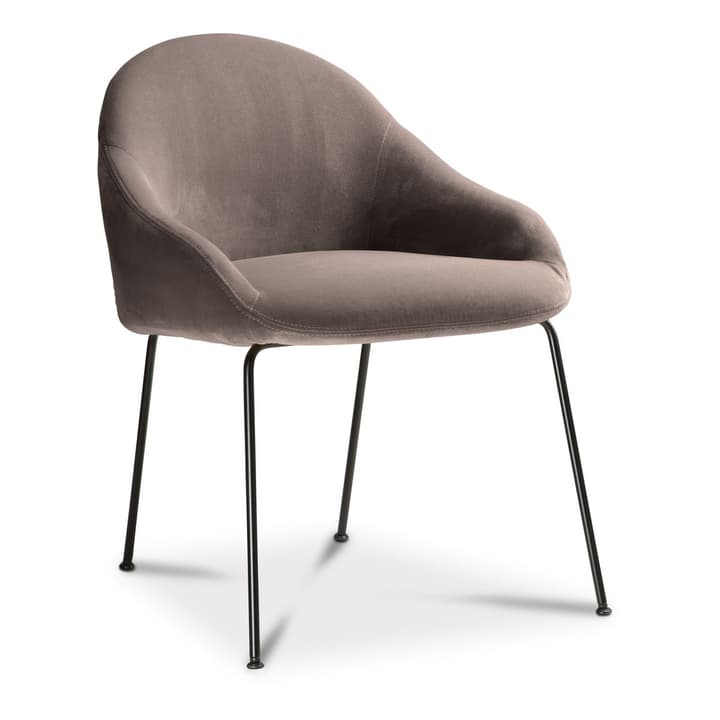 EARL Sedia EARL Sedia 366028015006 Dimensioni L: 58.0 cm x P: 65.0 cm x A: 76.0 cm Colore Grigio N. figura 1