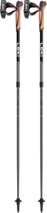 Image of Leki Spin Nordic Walking Stock