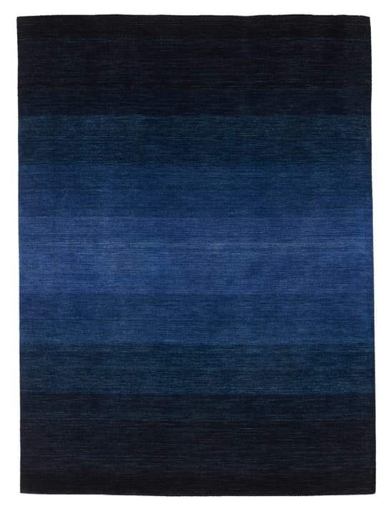 GABBEH Tapis GABBEH Tapis 411961117040 Couleur bleu Dimensions L: 170.0 cm x P: 230.0 cm Photo no. 1