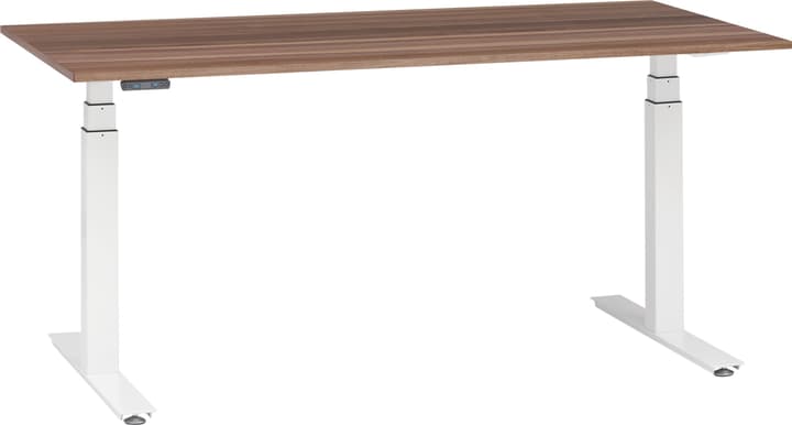 PROFI Pult PROFI Pult 401848200000 Grösse B: 160.0 cm x T: 80.0 cm x H: 67.0 cm Farbe Nussbaum Bild Nr. 1