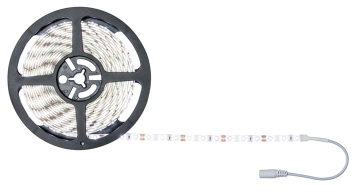 Image of Paulmann SimpLED Tageslicht, Komplettset 5m Light-Strip bei Do it + Garden von Migros