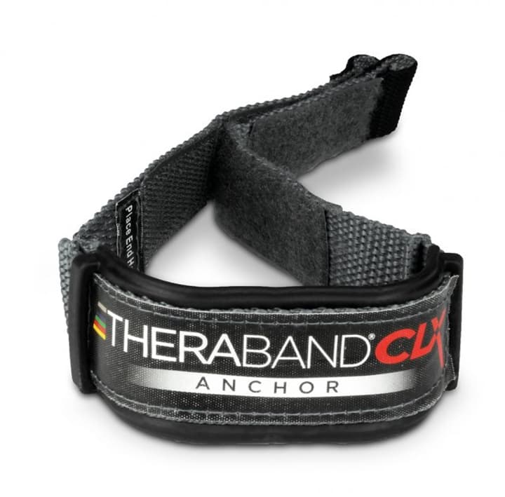 Image of TheraBand Türanker CLX Befestigung