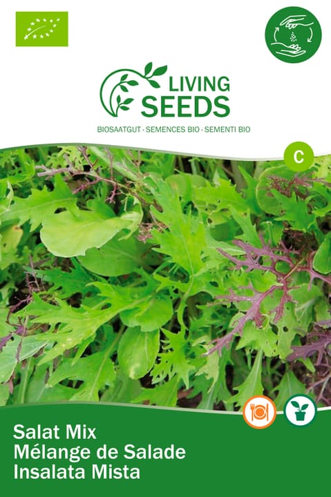 Image of Living Seeds Asia Salatmischung Gemüsesamen bei Do it + Garden von Migros