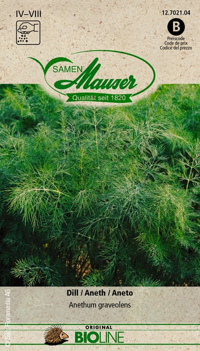 Image of Samen Mauser BIO Dill Kräutersamen