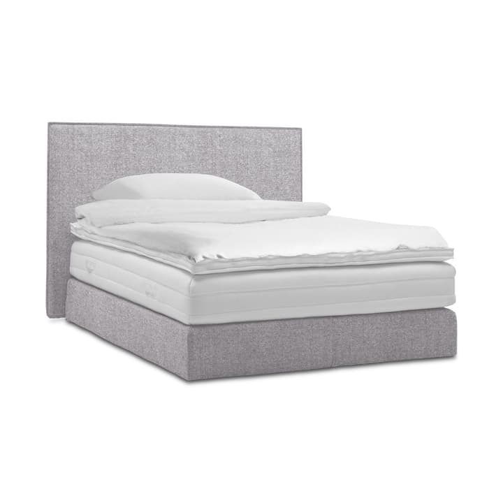 GRACE Boxspringbett GRACE Boxspringbett 364296000000 Grösse B: 200.0 cm x T: 160.0 cm Farbe Hellgrau Bild Nr. 1