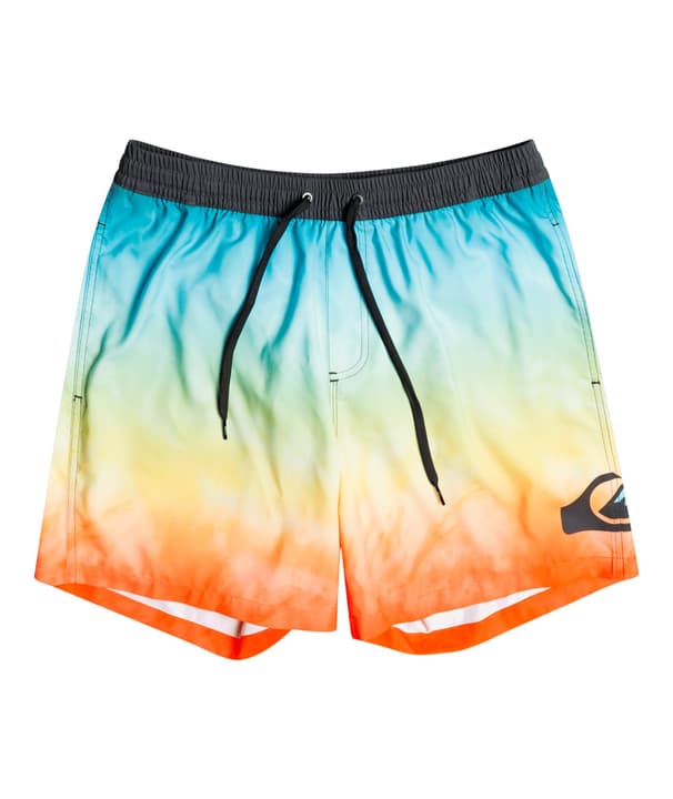 Image of Quiksilver Everyday Faded Logo 15' - Schwimmshorts Badeshorts mehrfarbig bei Migros SportXX