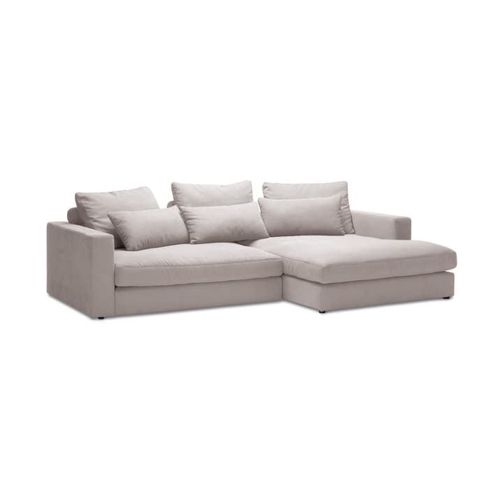 DARWIN Ecksofa 2er/Rec DARWIN Ecksofa 2er/Rec 360444250081 Grösse B: 269.0 cm x T: 170.0 cm x H: 78.0 cm Farbe Hellgrau Bild Nr. 1