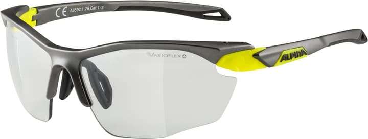 Image of Alpina Twist Five HR V Sportbrille kohle