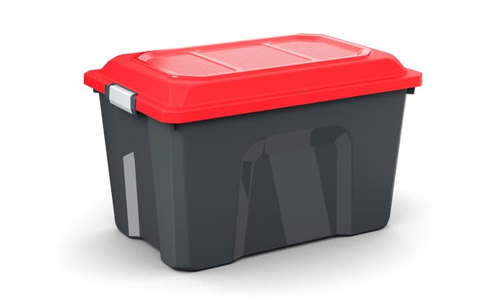 Image of Rotho Box 60 l Locker Aufbewahrungsbox bei Do it + Garden von Migros