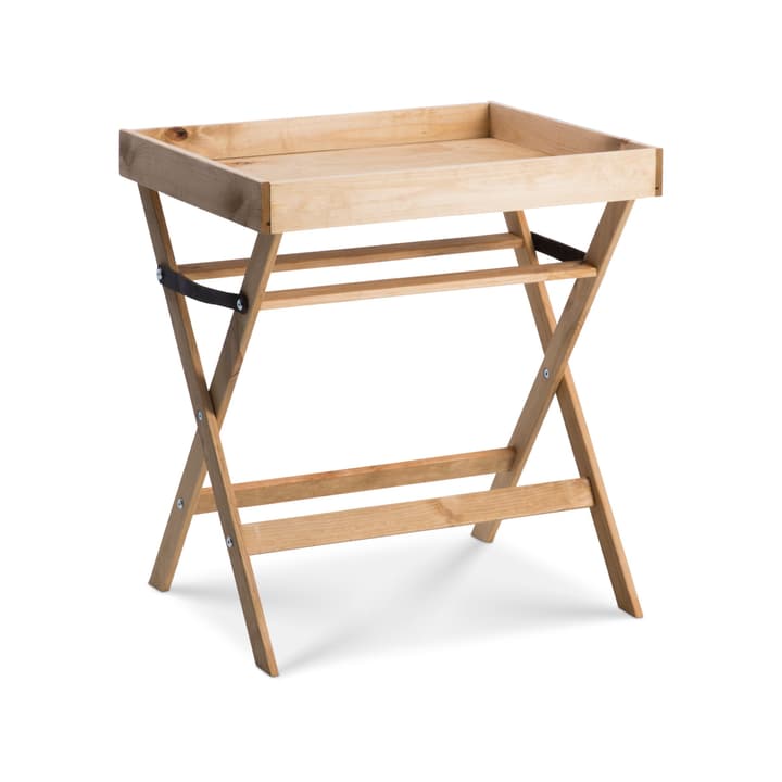 CASCAR Table des plantes CASCAR Table des plantes 382080300000 Photo no. 1