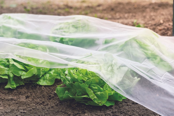 Image of Windhager 5 x 1.35 m Beetfolie bei Do it + Garden von Migros