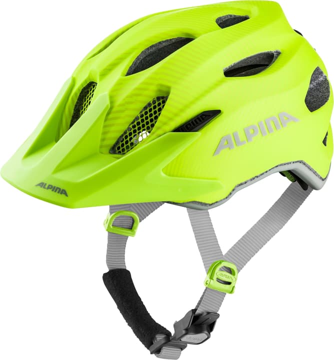 Image of Alpina Carapax JR. Flash Velohelm mehrfarbig