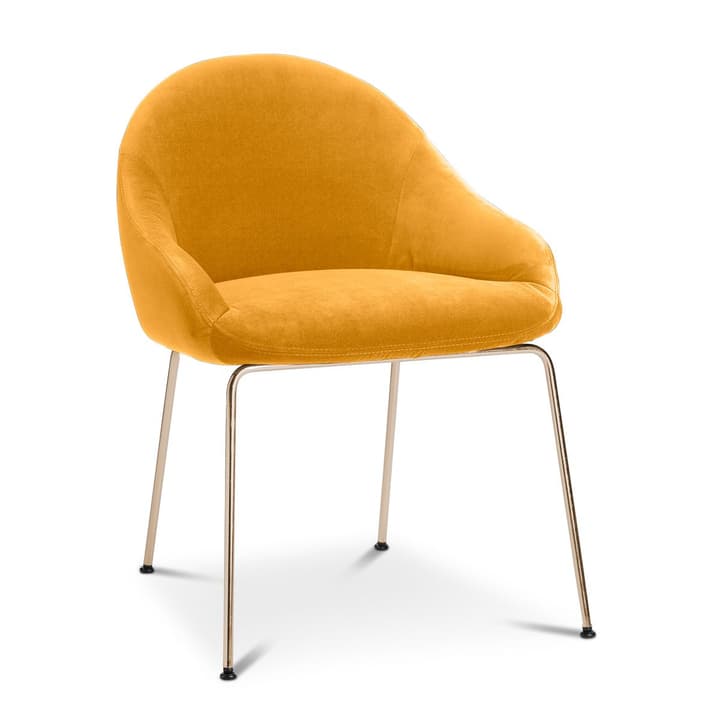 EARL Chaise EARL Chaise 366024292509 Dimensions L: 58.0 cm x P: 65.0 cm x H: 76.0 cm Couleur Jaune Photo no. 1