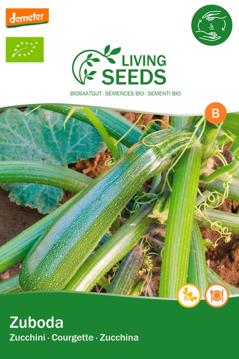Image of Living Seeds Zucchini, Zuboda Gemüsesamen
