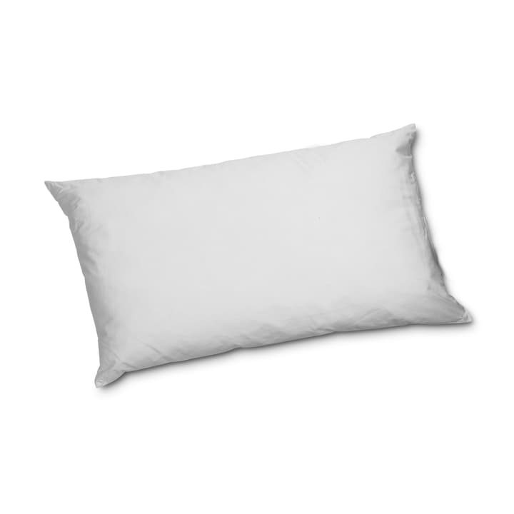 NATURE REGULAR Federnkissen NATURE REGULAR Federnkissen 376078610900 Farbe Weiss Grösse L: 65.0 cm x B: 100.0 cm Bild Nr. 1