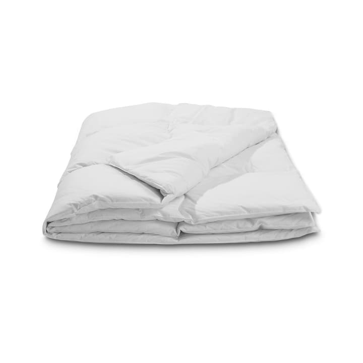CLASSIC WARM Couette en duvet d’oie en qualité supériore avec protection contre les acariens CLASSIC WARM Couette en duvet d’oie en qualité supériore avec protection contre les acariens 376051400000 Couleur Blanc Dimensions L: 210.0 cm x L: 160.0 cm Photo no. 1