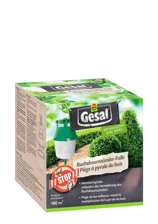 Image of Compo Gesal Buchsbaumzünsler Falle, 1 Stk Insektenfalle bei Do it + Garden von Migros