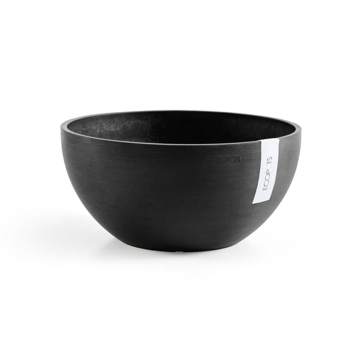 Image of Ecopots Brussels Übertopf