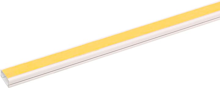 Image of Steffen 20 x 10 mm, 2 m Kabelkanal bei Do it + Garden von Migros