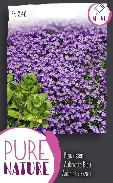 Image of Blaukissen 0.5g Blumensamen