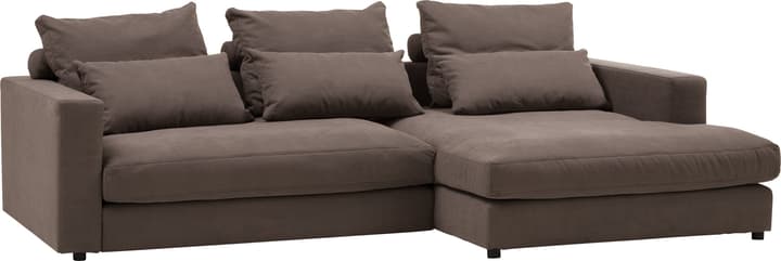 Ecksofa DARWIN
