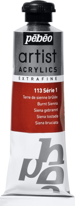 Pebeo Pébéo Acrylic Extrafine Pébéo Acrylic Extrafine Pebeo 663509011300 Colore Siena Bruciato N. figura 1