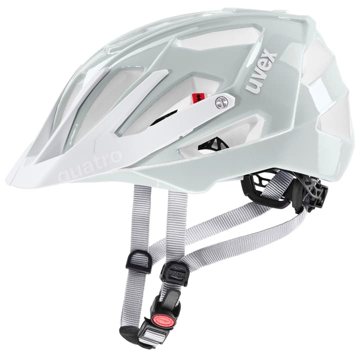 Image of Uvex Quatro Velohelm hellgrau bei Migros SportXX