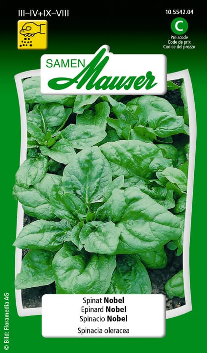 Image of Samen Mauser Spinat Nobel Gemüsesamen bei Do it + Garden von Migros