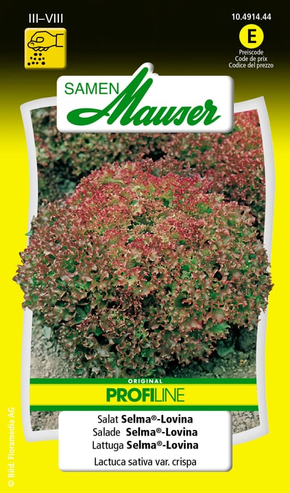 Image of Samen Mauser Salat Selma®-Lovina Gemüsesamen