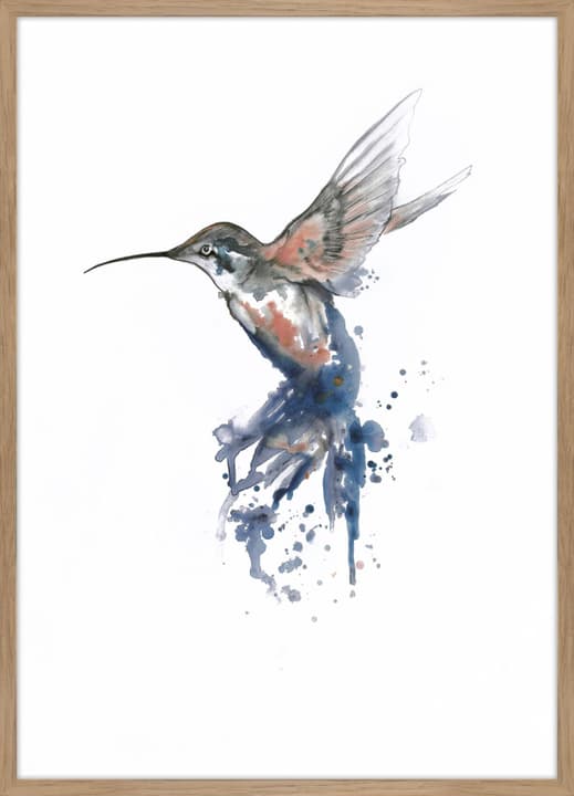 KOLIBRI Bild gerahmt KOLIBRI Bild gerahmt 431830500000 Bild Nr. 1