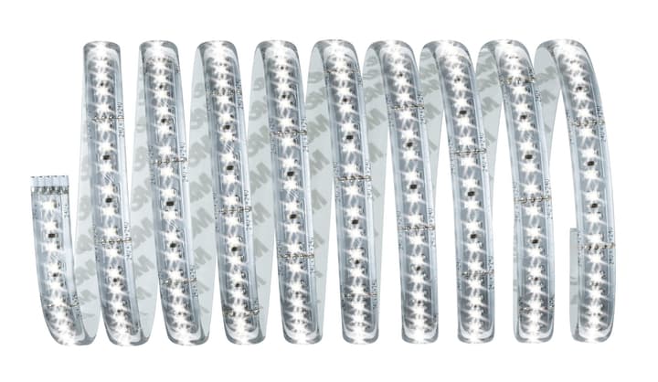 Image of Paulmann MaxLED 1000 Basisset 3 m, Tageslicht Light-Strip