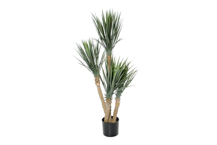 Image of Yucca rostrata Kunstpflanze bei Do it + Garden von Migros