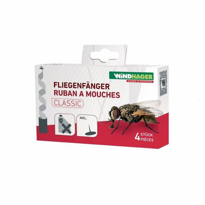 Windhager Attrape-mouches Attrape-mouches Windhager 631191900000 Photo no. 1