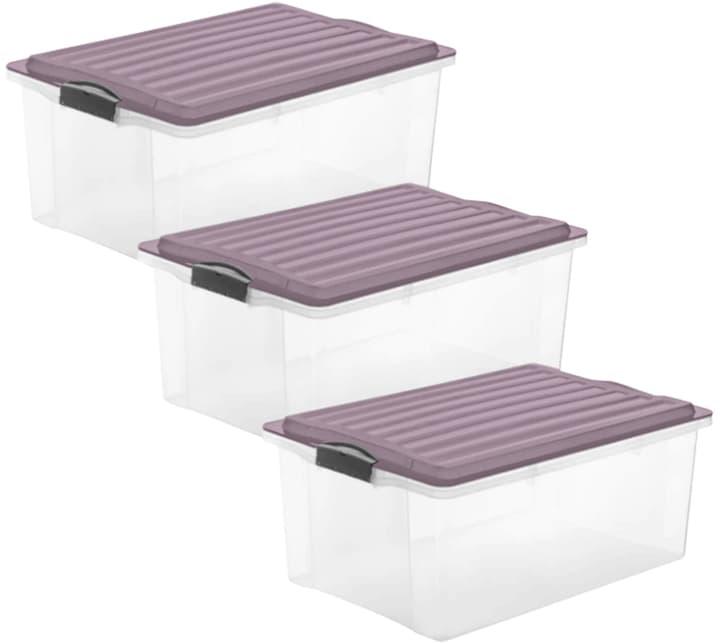 Rotho Compact A3, 3er-Set Aufbewahrungsbox - kaufen bei Do it   Garden ...