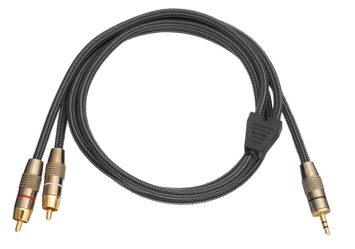 Daymond D.30.013 Audio 3.5mm/2xCinch1.5m Audio Kabel D.30.013 Audio 3.5mm/2xCinch1.5m Audio Kabel Daymond 770807000000 Photo no. 1