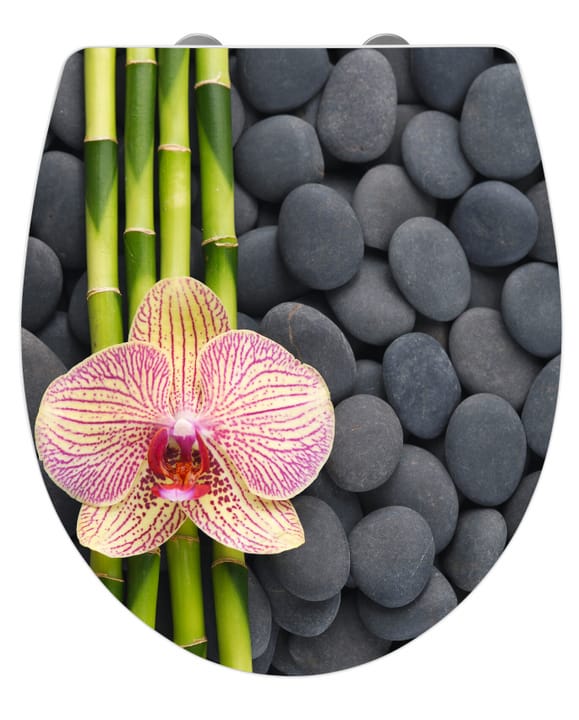 Image of WENKO Spa WC-Sitz bei Do it + Garden von Migros