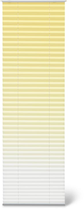 HORIZON Store plissé HORIZON Store plissé 430747208050 Couleur Jaune Dimensions L: 80.0 cm x H: 160.0 cm Photo no. 1