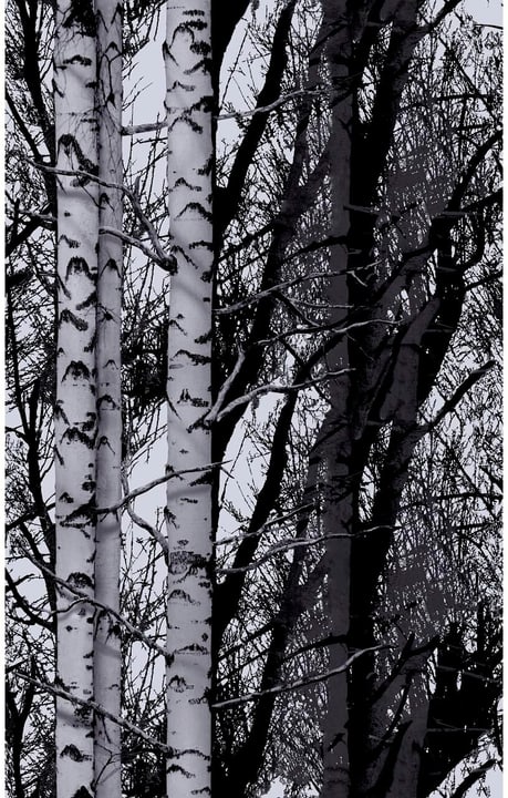 Image of D-C-Fix Designfolie Wood 45 x 150 cm