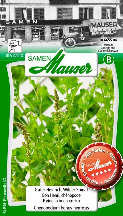 Image of Samen Mauser Guter Heinrich Gourmetsamen