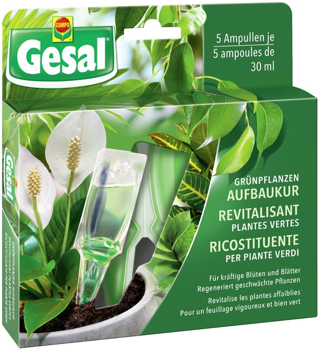 Image of Compo Gesal Grünpflanzen-Aufbaukur, 5 x 30 ml Flüssigdünger
