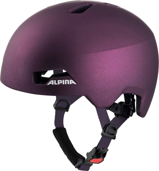 Image of Alpina Hackney Velohelm violett