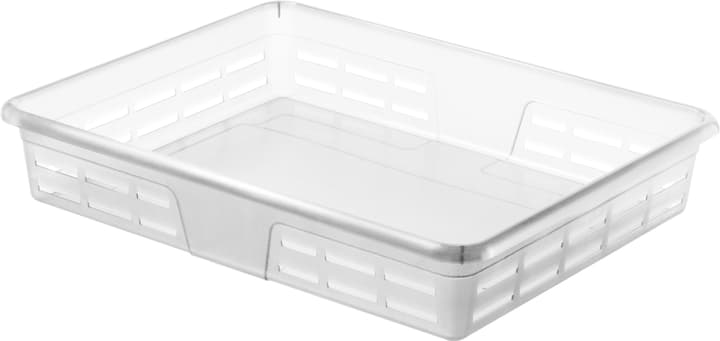 Image of Rotho Graphix Ablagekörbchen A4, Kunststoff (PP) BPA-frei, transparent Korb bei Do it + Garden von Migros