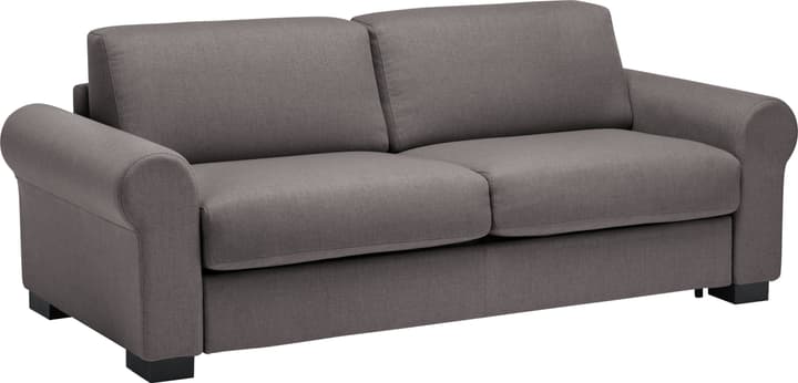 OPUS Divano letto OPUS Divano letto 402933400000 Colore Grigio scuro Dimensioni L: 222.0 cm x P: 204.0 cm x A: 82.0 cm N. figura 1