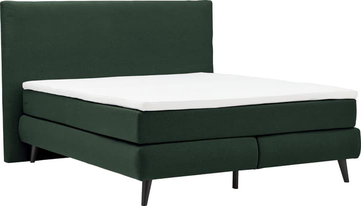 Boxspringbett AURORE