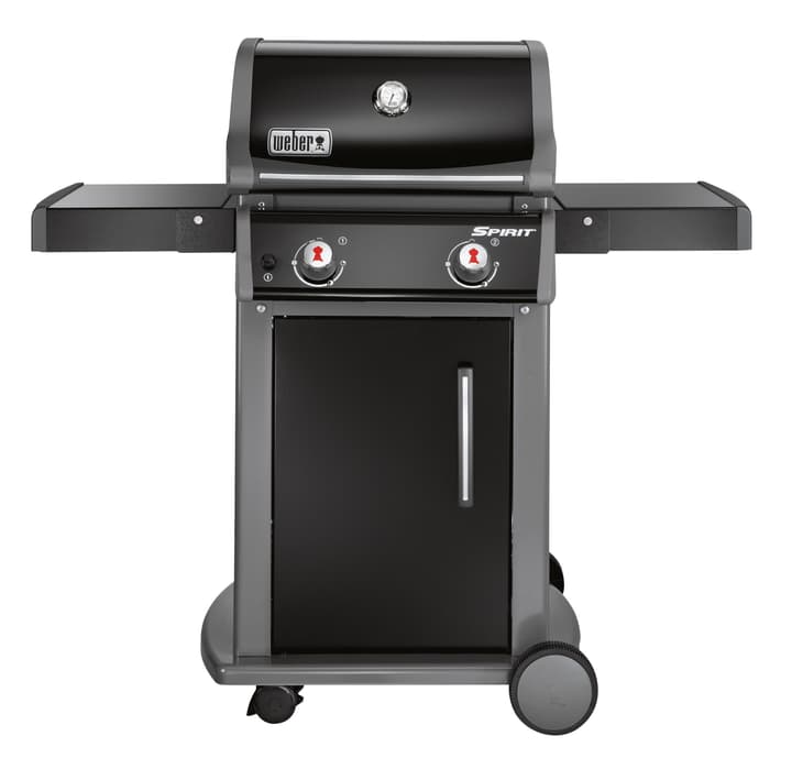 Ersatzteile & Zubehör zu Weber Gasgrill SPIRIT E210 Original