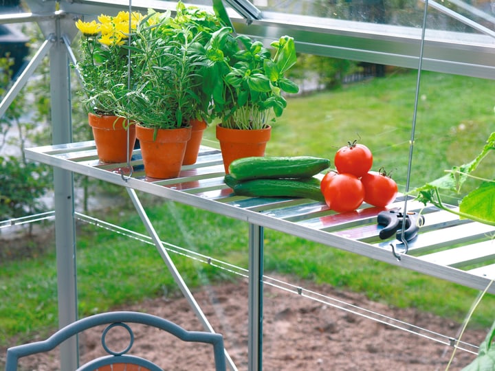 Image of VITAVIA Regal Gewächshaus bei Do it + Garden von Migros